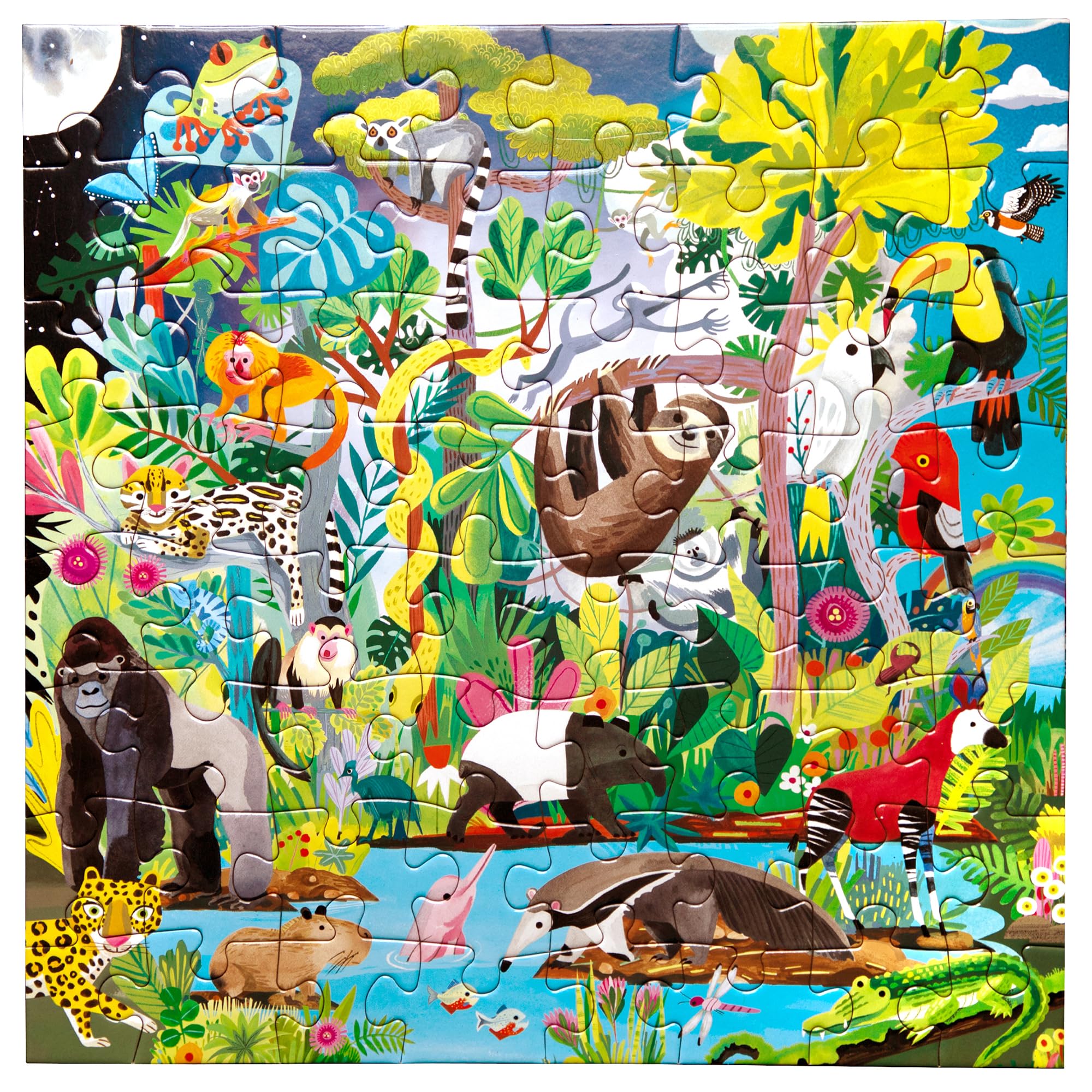 Amazon.com: eeBoo: Rainforest - 64 Piece Puzzle - 15